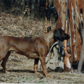 Erotica z Hruštína