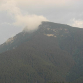 Choč