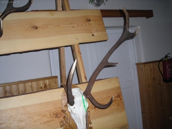 vojenské lesy Hořovice