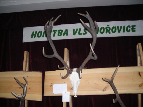 vojenské lesy Hořovice