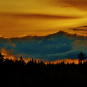 Z večerní šoulačky.