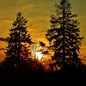 Z večerní šoulačky.