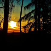 Z večerní čekané.