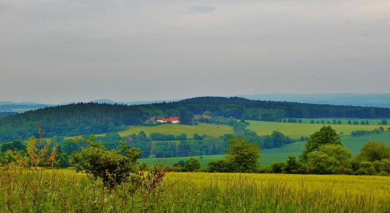 Ze šoulačky.