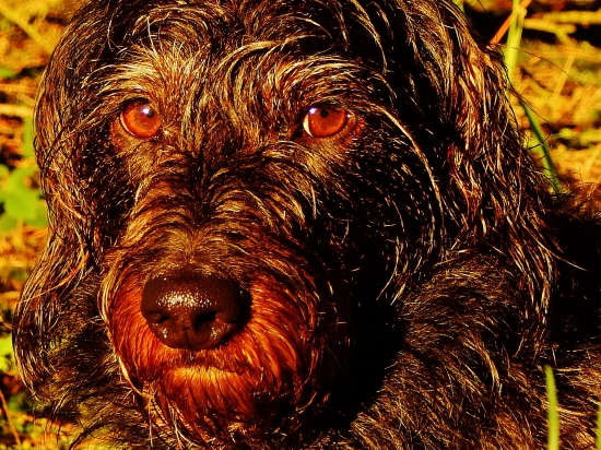 Z večerní šoulačky.