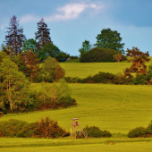 Z večerní šoulačky.