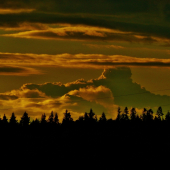 Z večerní čekané.