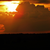 Z večerní čekané.