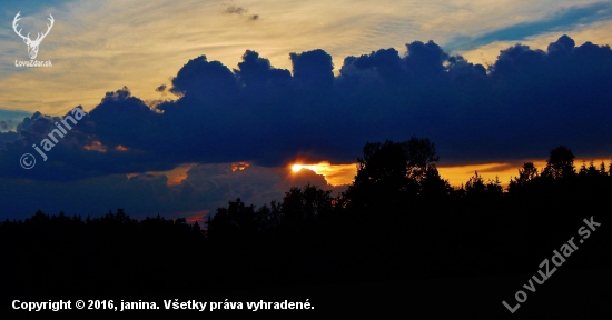 Z čekané.
