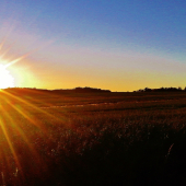 Z večerní čekané.