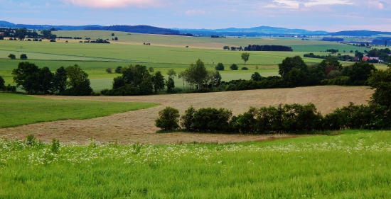 Ze šoulačky.