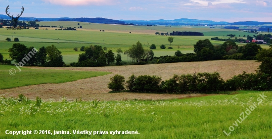 Ze šoulačky.