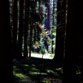 Z ranní šoulačky.