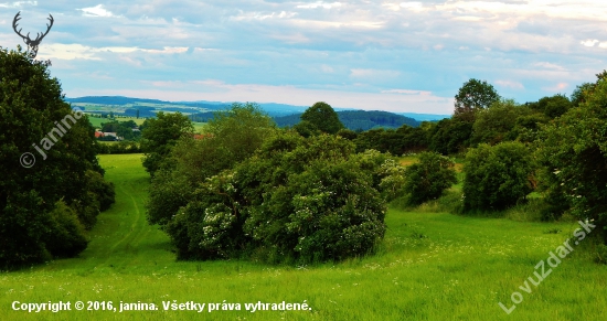 Ze šoulačky.