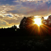 Z večerní šoulačky.