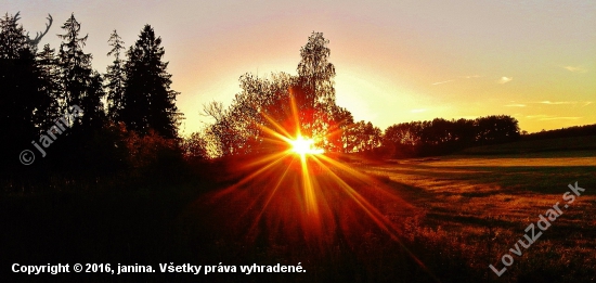 Z večerní šoulačky.