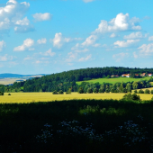 Z ranní šoulačky.