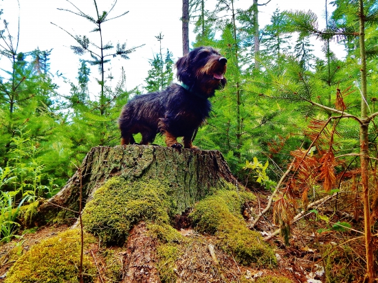 Z ranní šoulačky.