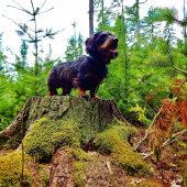 Z ranní šoulačky.