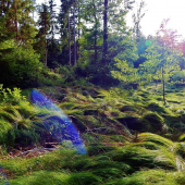 Z ranní šoulačky.