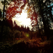 Z večerní šoulačky.