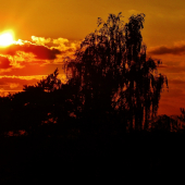 Z večerní čekané.