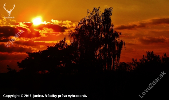 Z večerní čekané.
