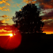 Z večerní šoulačky.