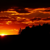 Z večerní čekané.