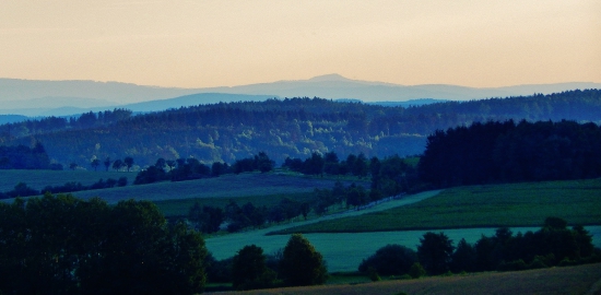 Ze šoulačky.