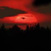 Z večerní čekané.