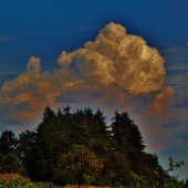 Z ranní šoulačky.