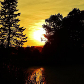 Z večerní čekané.