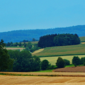Z ranní šoulačky.