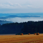 Z ranní šoulačky.