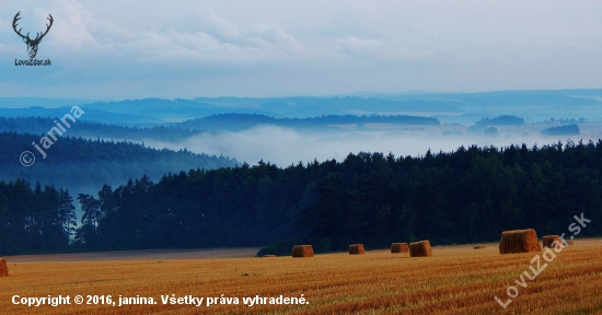 Z ranní šoulačky.