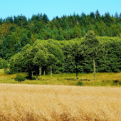 Z ranní šoulačky.