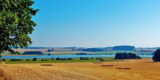 Z ranní šoulačky.