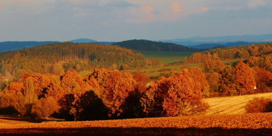 Z ranní šoulačky.