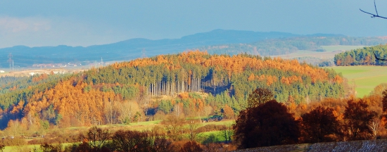 Ze šoulačky.