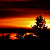 Z večerní čekané.