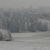 Z ranní šoulačky.