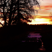 Z ranní šoulačky.