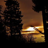 Z večerní čekané.