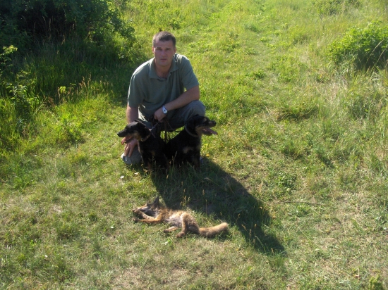 dnešné brlohovanie