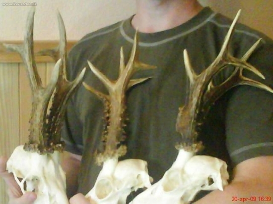 Zlato,striebro-striebro