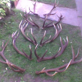 Poľana.Rok 2005-08.Všetko párne