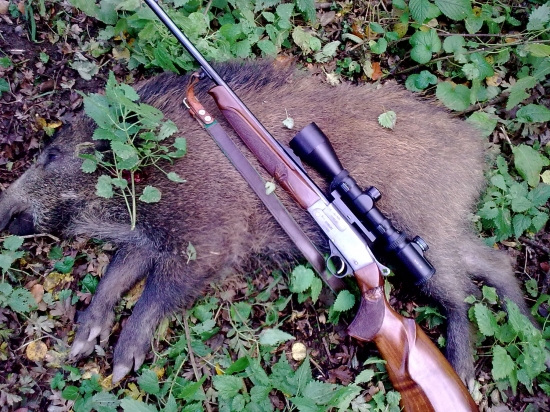 Kamaratovi sa darilo