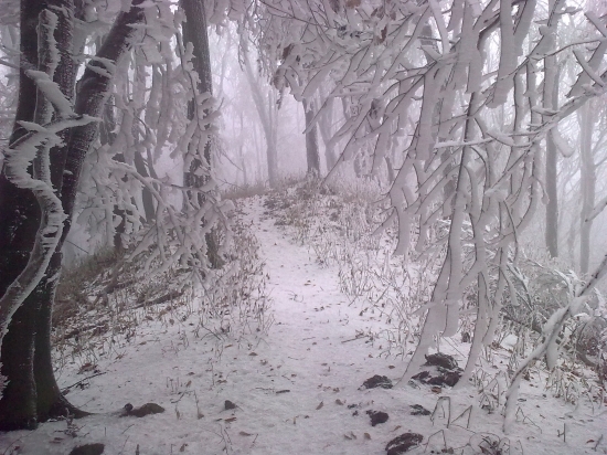 Na hrebenoch Malych Karpat - - Narnia.