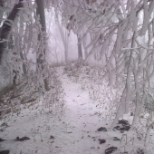 Na hrebenoch Malych Karpat - - Narnia.